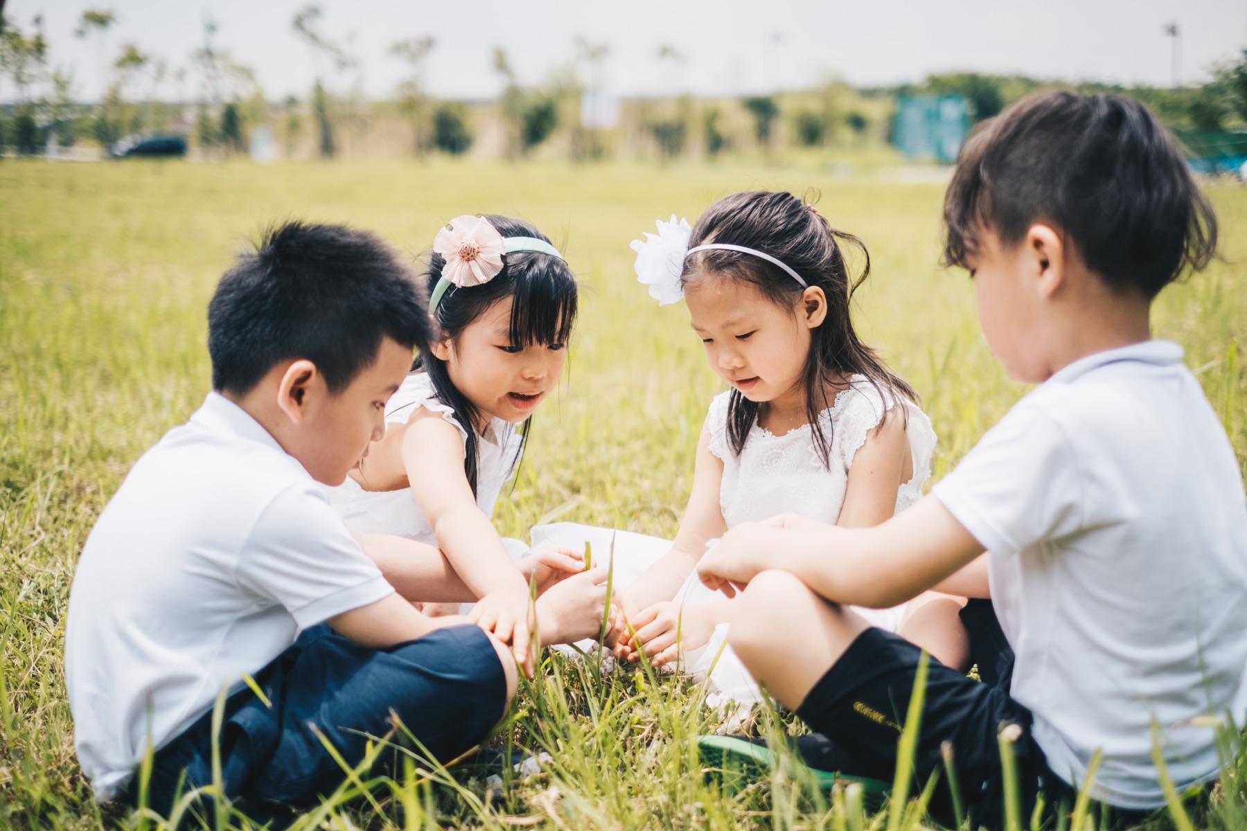 孩子們在草地上一起觀察與操作